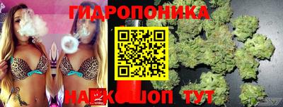 стафф Можга