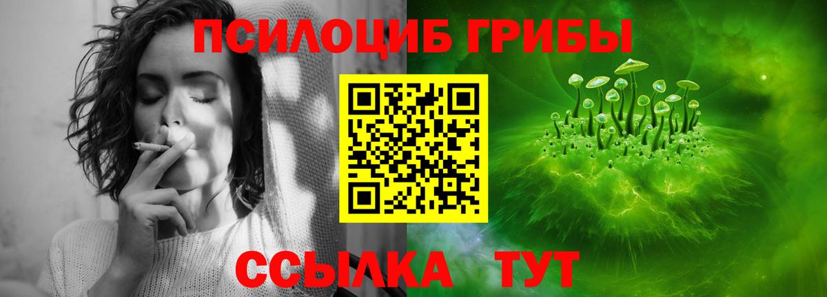 Псилоцибиновые грибы MAGIC MUSHROOMS Черкесск